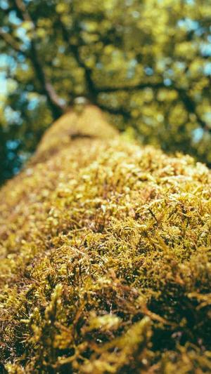 黑料正能量入口是什么截图1