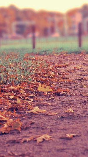 黑料不打烊tttzzz网址截图3