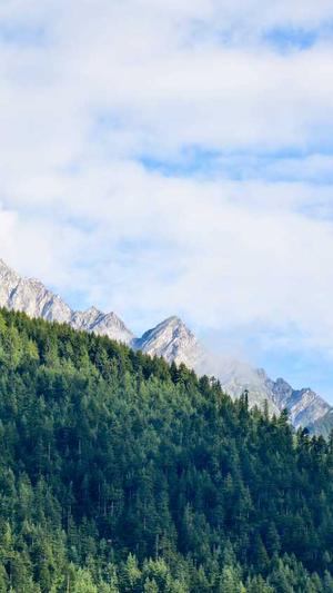 51吃瓜网黑料截图3