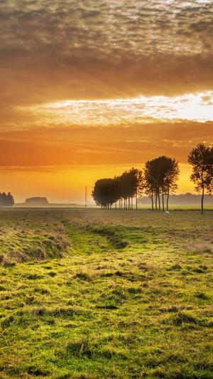 娱乐圈黑料最多的女人截图3