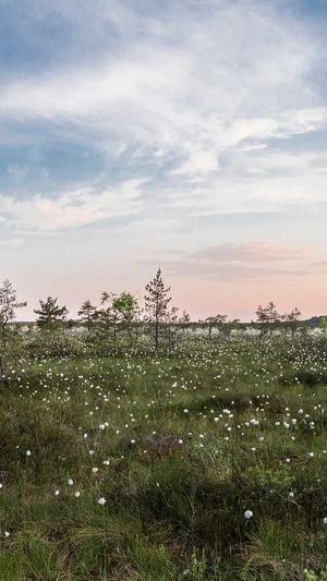 国产吃瓜在线截图3