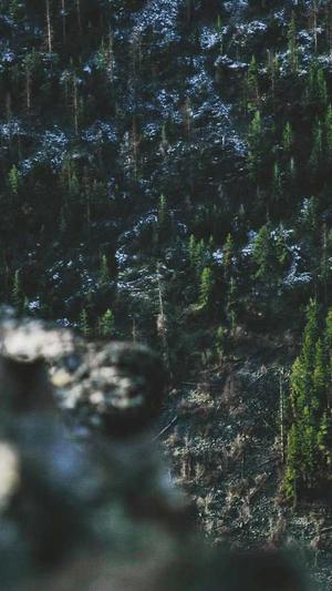 屈楚萧被扒黑料截图4