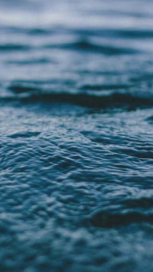 zztt25黑料不打烊截图3