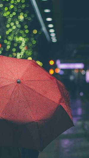 网红黑料不打烊so截图2