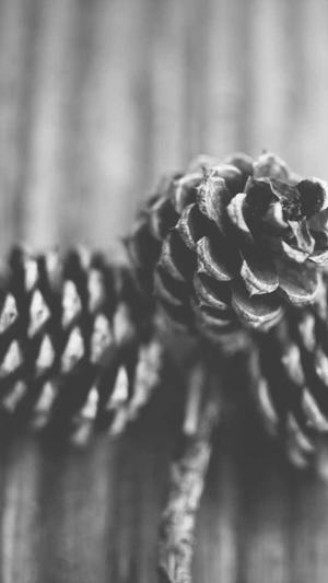 主持人王冠的黑料截图4