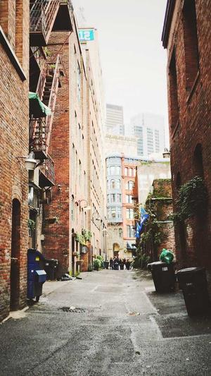 高圆圆黑料截图1