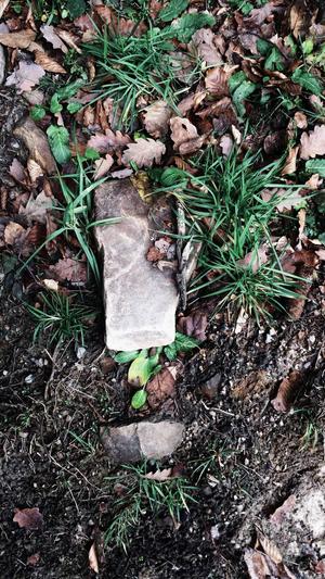 喜欢你我也是于超黑料截图3