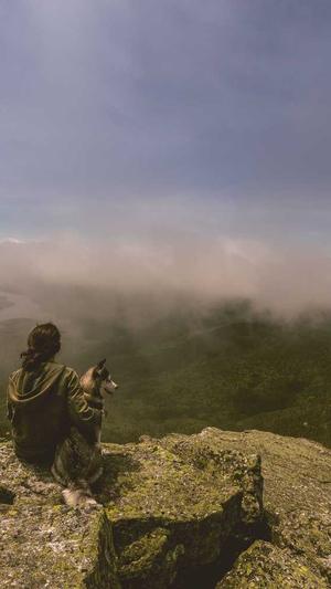 梦见在瓜地里摘瓜吃截图3