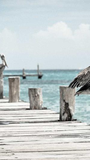 黑料不打烊封了吗截图1