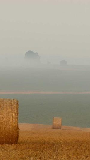 黑料不打烊截图3