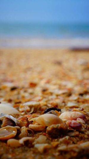 吃瓜网站在线吃瓜截图3