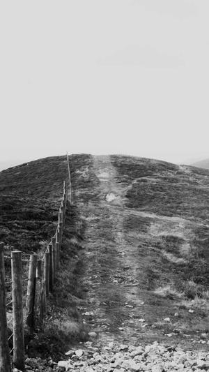 黑料社下载截图3