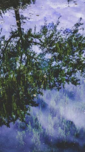 吃瓜岱宗岱截图3