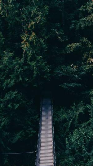 黑料不打烊 万篇长征截图5