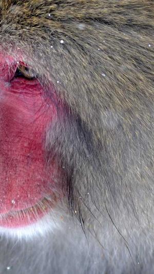 51cg吃瓜在线截图1