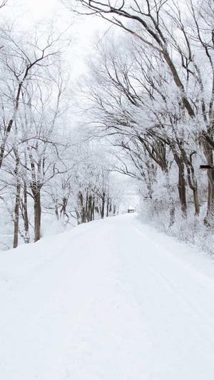 黑料不打烊黑料官网截图1