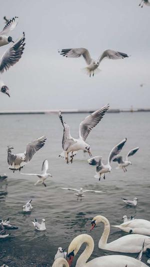 吃瓜少女张小寒截图4