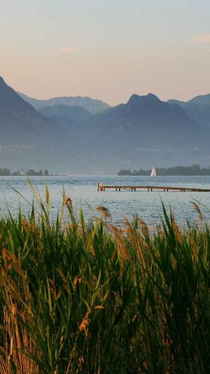 黑料不打烊吃瓜截图2