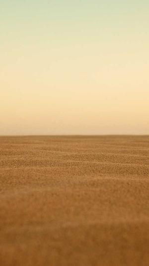 吃瓜群众什么意思截图2