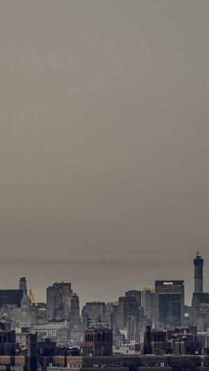 老挝大红酸枝黑料截图3