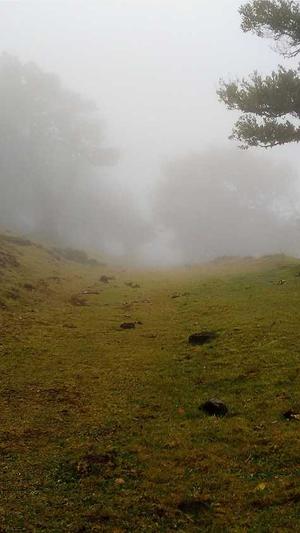 黑料不打烊网红明星截图1