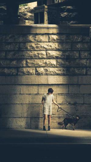 水果佛手瓜怎么吃截图4